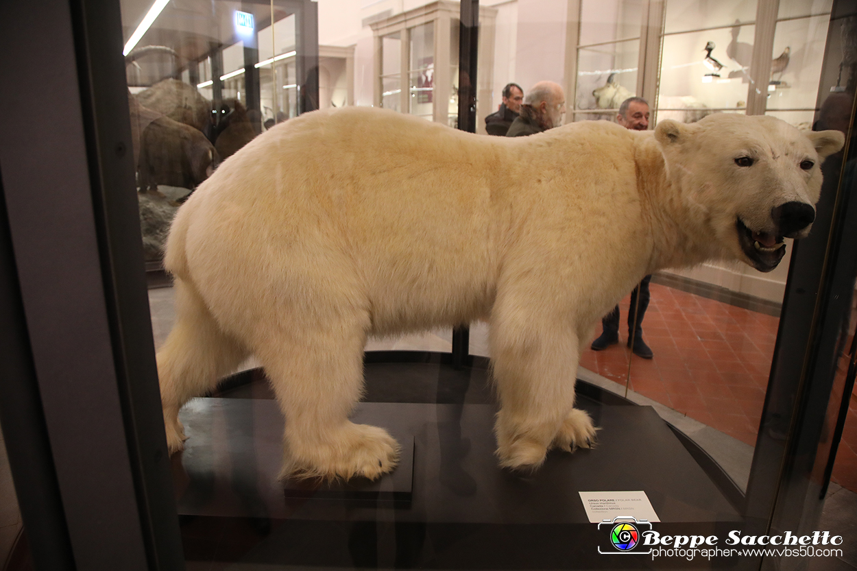 VBS_0955 - Riapre il Museo di Scienze Naturali dopo dieci anni di chiusura.jpg